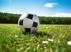 连续两年争,霸海港铩羽,而归,PP电子官网,PP电子入口,PP电子平台,PP电子官方